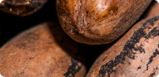 Cocoa
